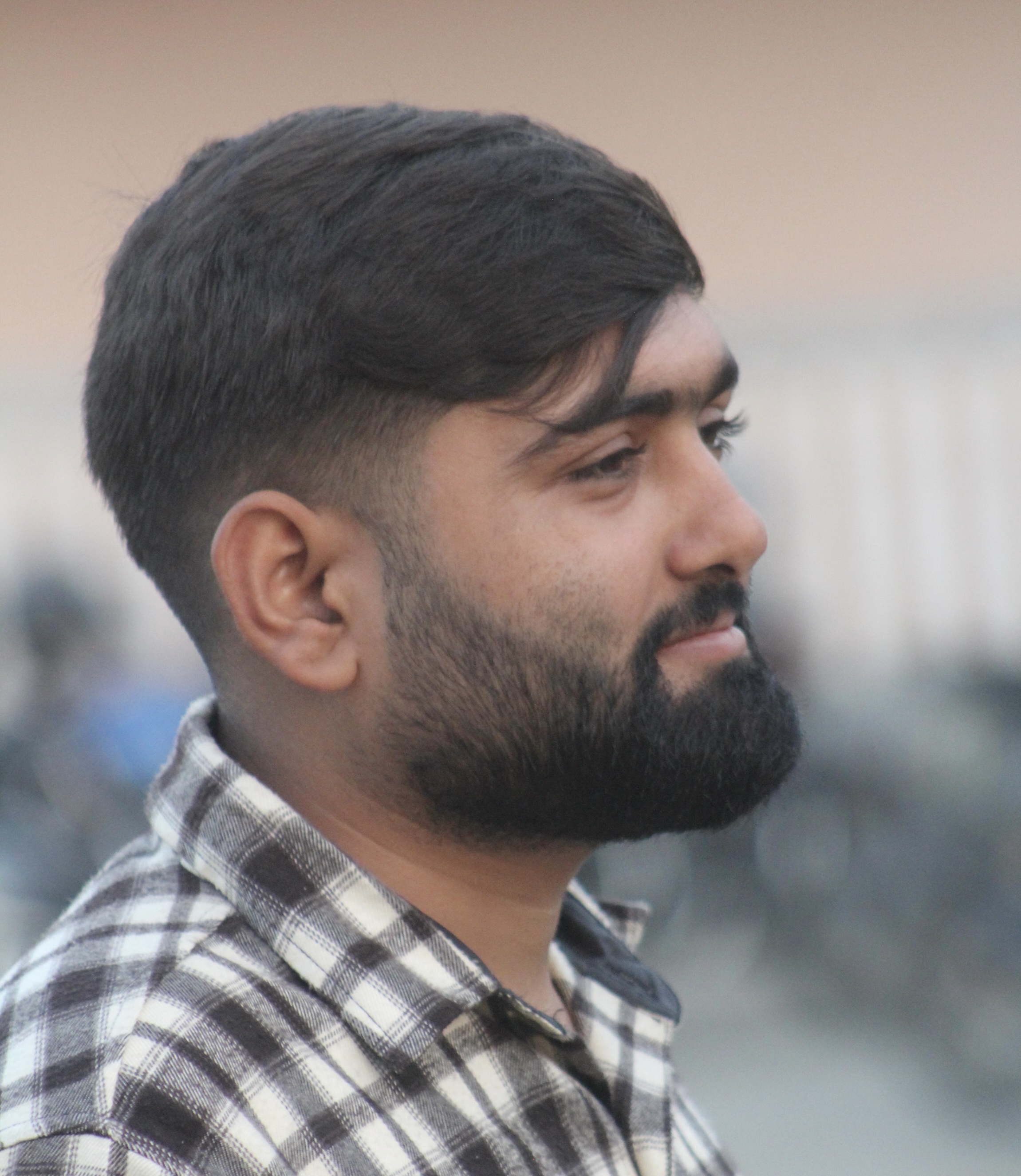Biraj Bhattarai Artist Profile